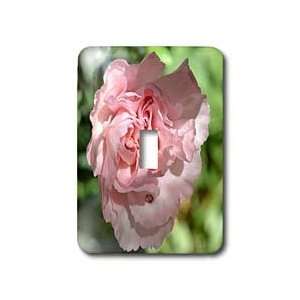Patricia Sanders Flowers   Pink Carnation Floral II   Light Switch 