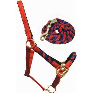 Nylon Halter with Rope Overlay and Matching Derby Lead 