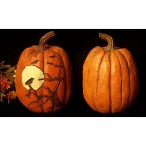  Halloween Crows & Bats On Pumpkin