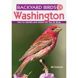  New Gibbs Smith Publisher Backyard Birds Of Washington 