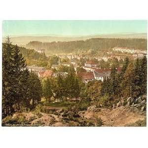  Photochrom Reprint of View from Steinbruch, Marienbad 