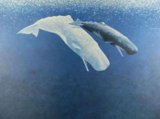   Signed Limited Edition Print Sperm Whales Journey Lithograph  