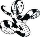 SNAKE DECAL #S51 CAR TRUCK GRAPHIC TONGUE SUV VAN AUTO