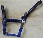 Royal Blue Nylon Horse Halter With Neoprene & Barbed Wire Design New 