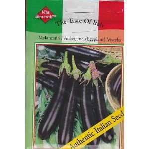  Viserba Aubergine Eggplant   660 Seeds   Taste of Italy 