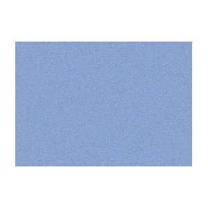   Ache Neopastel   Box of 10   Sky Blue 141 Arts, Crafts & Sewing