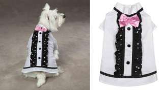 This handsome outfit will make any dog the toast of the wedding party