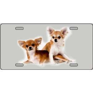  Chihuahua Dog Pet Novelty License Plates 