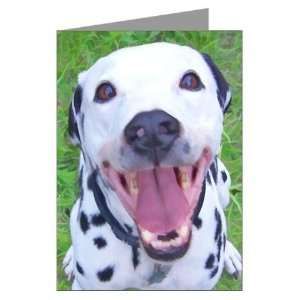  Happy Dalmatian Cool Greeting Cards Pk of 10 by  