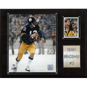  NFL Terry Bradshaw Pittsburgh Steelers Player Plaque 