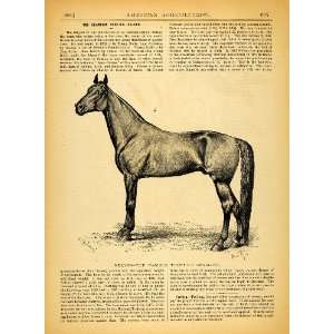   Equestrian Equine Forbes   Original Print Article