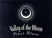 Valley of the Moon Pinot Blanc 2006 