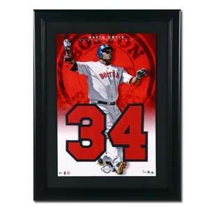  MLB Jersey Numbers Collection Boston Red Sox   David Ortiz 