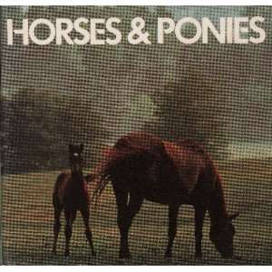  Horses & Ponies (An Animal Information Book 