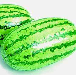 JUBILEE WATERMELON 50 SEEDS SWEET & OH SO GOOD TO EAT  