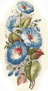 Ceramic Decals Blue Morning Glory Vining Floral  