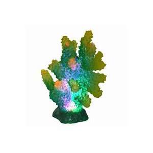   sp aqua acroplit Illuminated Acropora Coral Ornament