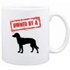 New  Owned By Mixed Breeds  Mug Dog