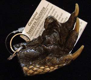 Alligator Claw Key Ring Real Gator Swamp Magic Voodoo  