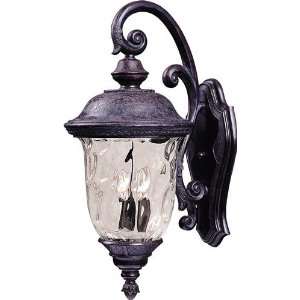 Carriage House DC 2 Light Outdoor Wall Lantern H20 W9  