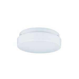    7926BLE   Fluorescent Wall or Ceiling Fixture