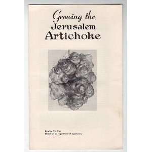  Growing the jerusalem artichoke (U.S. Dept. of Agriculture 