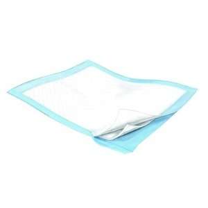   ISG309 Disposable Underpad Quantity 30 W x 30 D   Casepack of 10