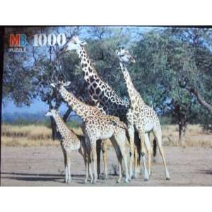  Giraffes, Zambia, Africa 1000 Piece Puzzle Toys & Games