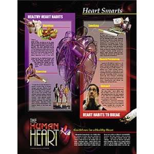  Human Heart Poster Series   Laminated 