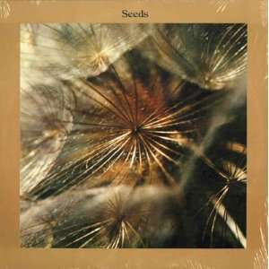  Seeds Hymns For A New Age Marcus Allen Music