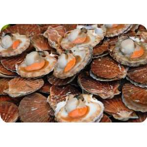 Bay Scallops   100ct   24 Hour Notice   5 Lb Bag  Grocery 