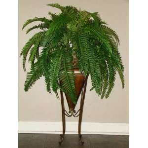  40 Boston Fern in tall tin container