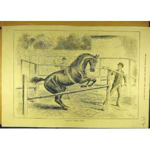 1884 Timber Jumper Horse School Training Jumping Print 