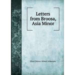   Letters from Broosa, Asia Minor Eliza Cheney Abbott Schneider Books