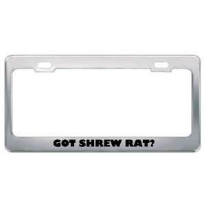 Got Shrew Rat? Animals Pets Metal License Plate Frame Holder Border 