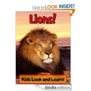 Lions Learn About Lions and Enjoy Colorful Pictures   Look and Learn 