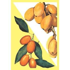 Kumquat 20x30 poster 