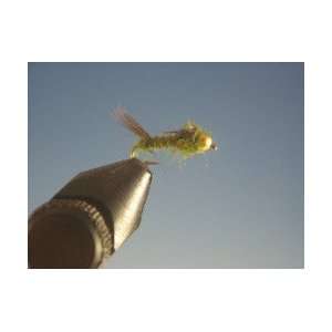 Beadhead Micro Mayflies Olive 