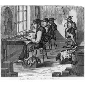  Cigar making,3 men making cigars while 1 man reads,1873 