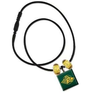  ALASKA ANCHORAGE SEAWOLVES OFFICIAL 18 NECKLACE Sports 