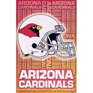  Arizona Cardinals Logo Poster 3440