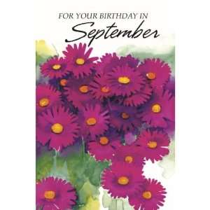  Birthday of the Month Birthday Cards Case Pack 72