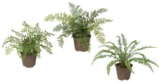 Set 6 Artificial Potted Miniature Fern Greenery  