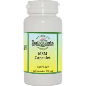  Alternative Health & Herbs Remedies Msm Capsules, 120 