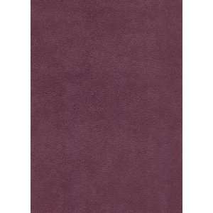  93662 Aubergine by Greenhouse Design