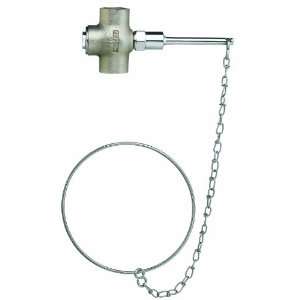 Speakman S 2720 Chrome Self Closing Valve with 1 NPTF Connectors and 