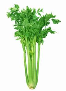 300 seed celery vegetable Vitamins green food Kitchen  