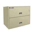   premium fire protecting insulationcompact size for small office filing