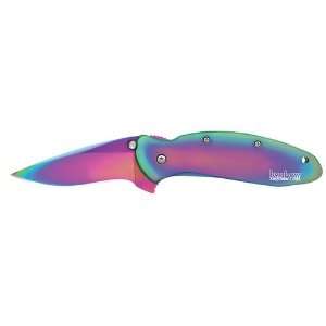 Kershaw Rainbow Scallion 2.25 Inch Stainless Steel Blade Handle Multi 