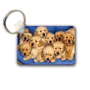  Golden labs litter puppies Keychain Key Chain Great Unique 